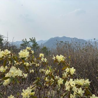今年もこのタイミングに来れて良かった🥹