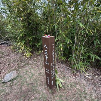 八王子山ピーク