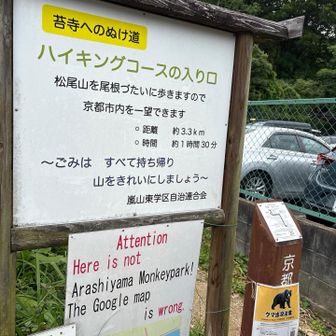 最後の最後に今回の唯一のピーク松尾山に登ります