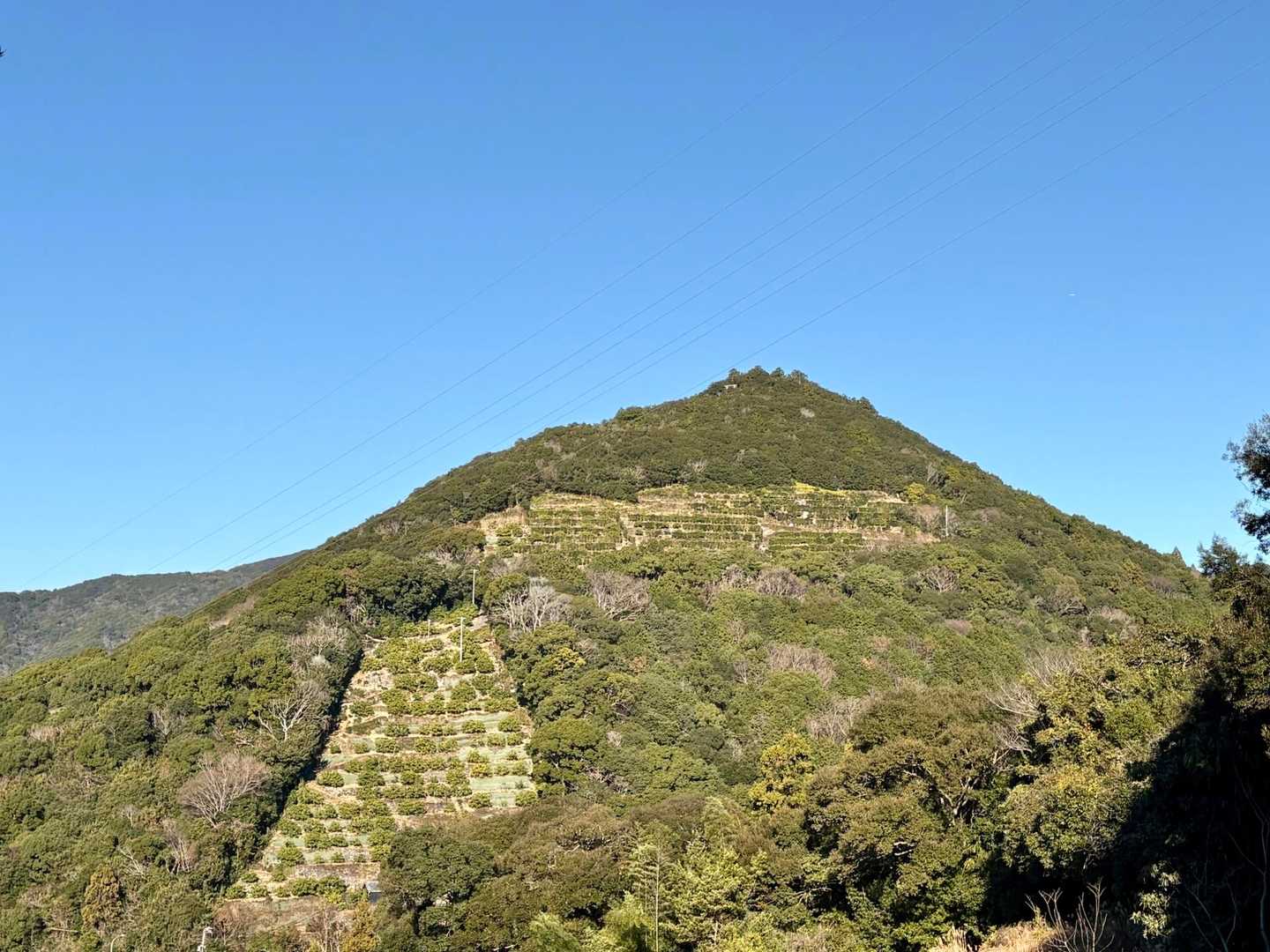山頂の鳥居が見えています。