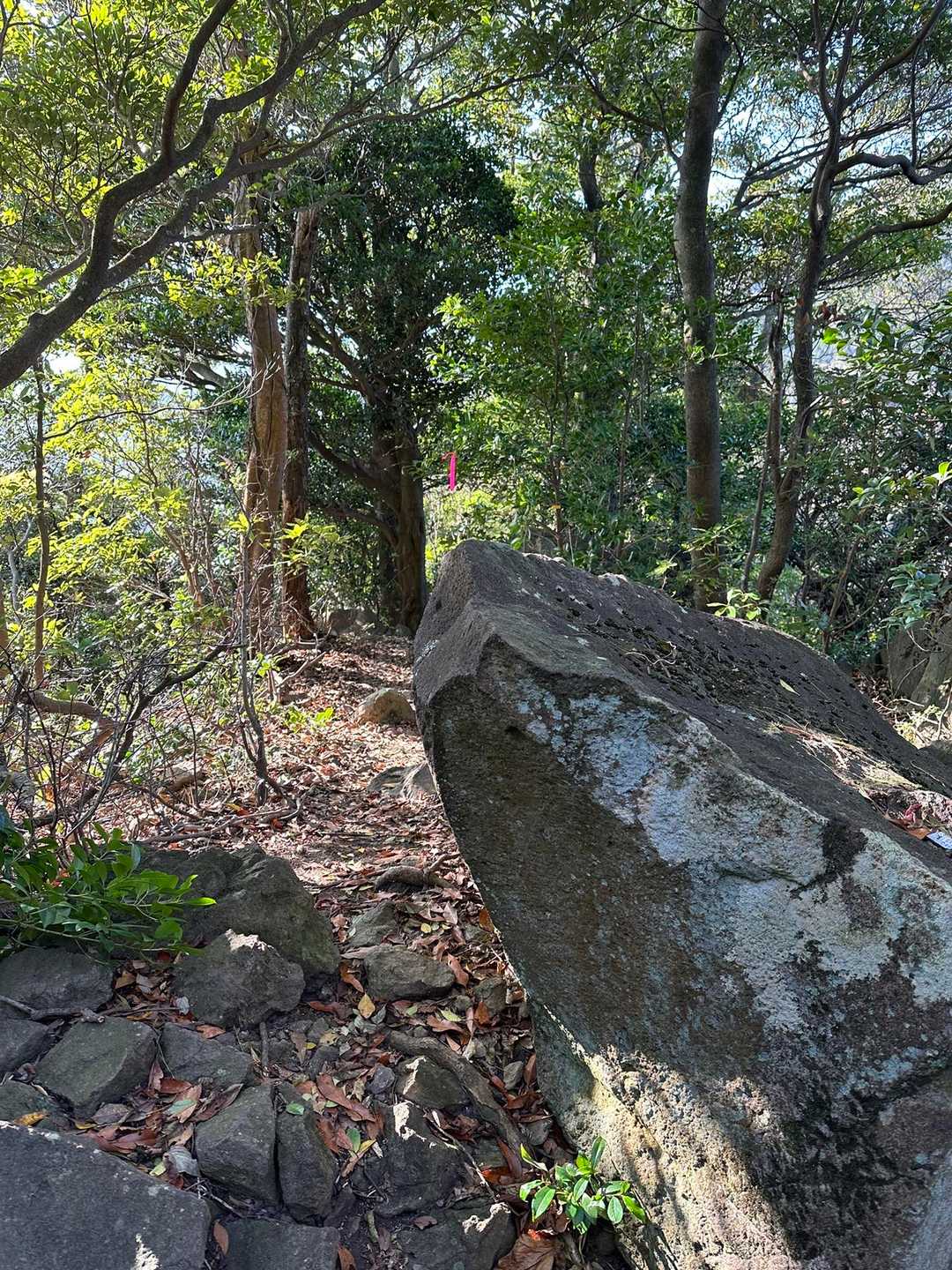 不動山-千燈岳 往復コースの写真