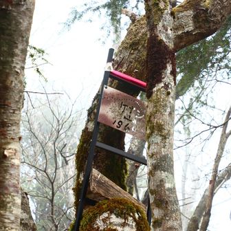 最高点。
どうでも良すぎて岩の上にも乗らず。