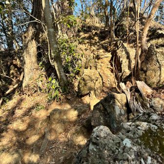 天狗岩の往復が意外にキツかった。