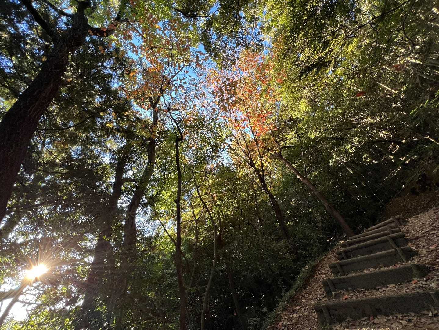 昨日と違ってカラッとした登山✨