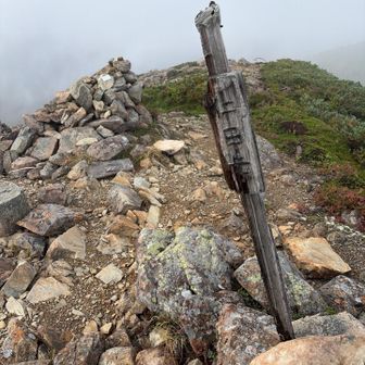 はい到着…もう少し立派な山頂標識があると思っていたが…これはこれで味わい深い🤔