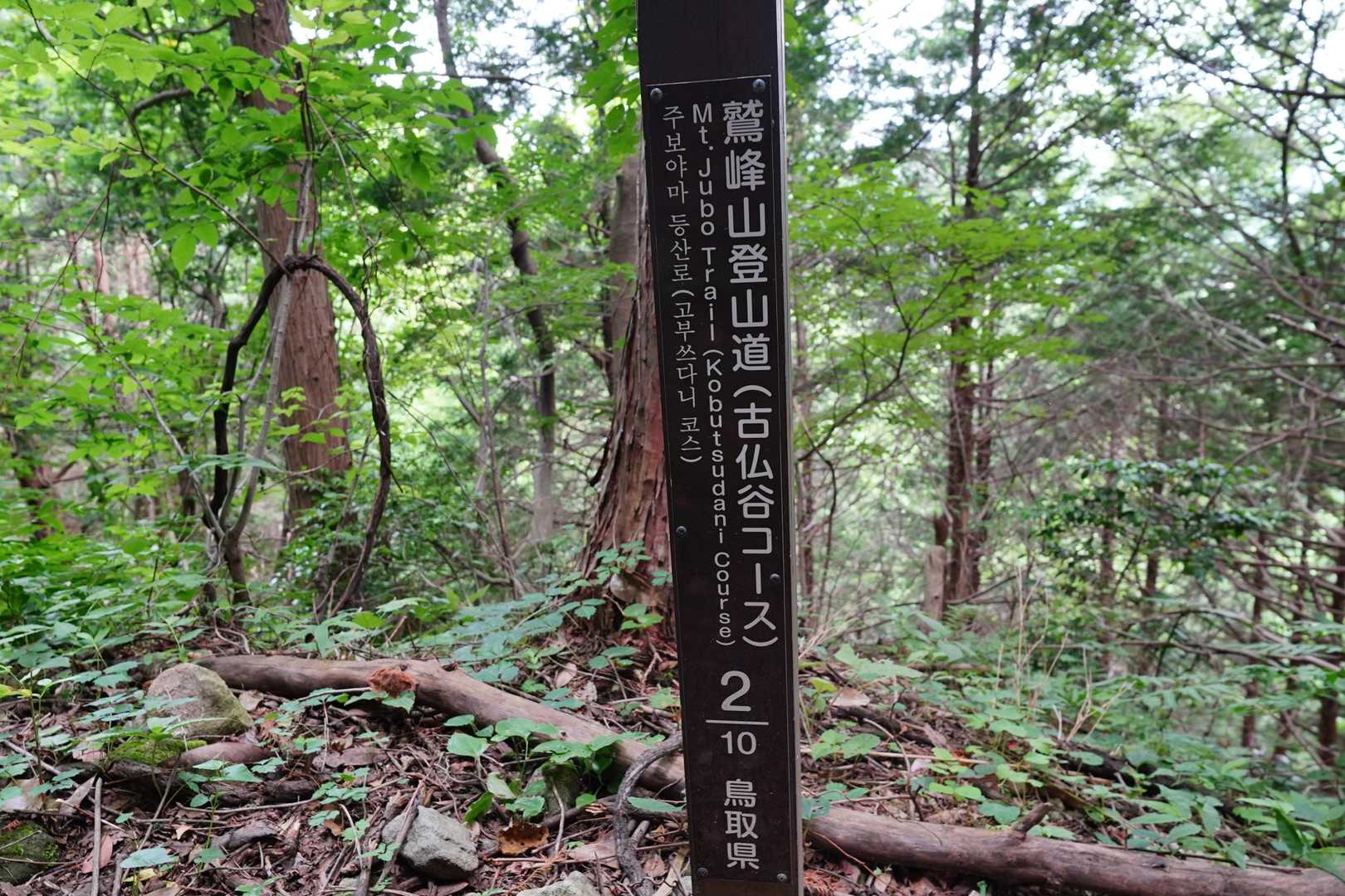 無駄に熊鈴振り回してみたり
独り言も多めのヤバい人になる