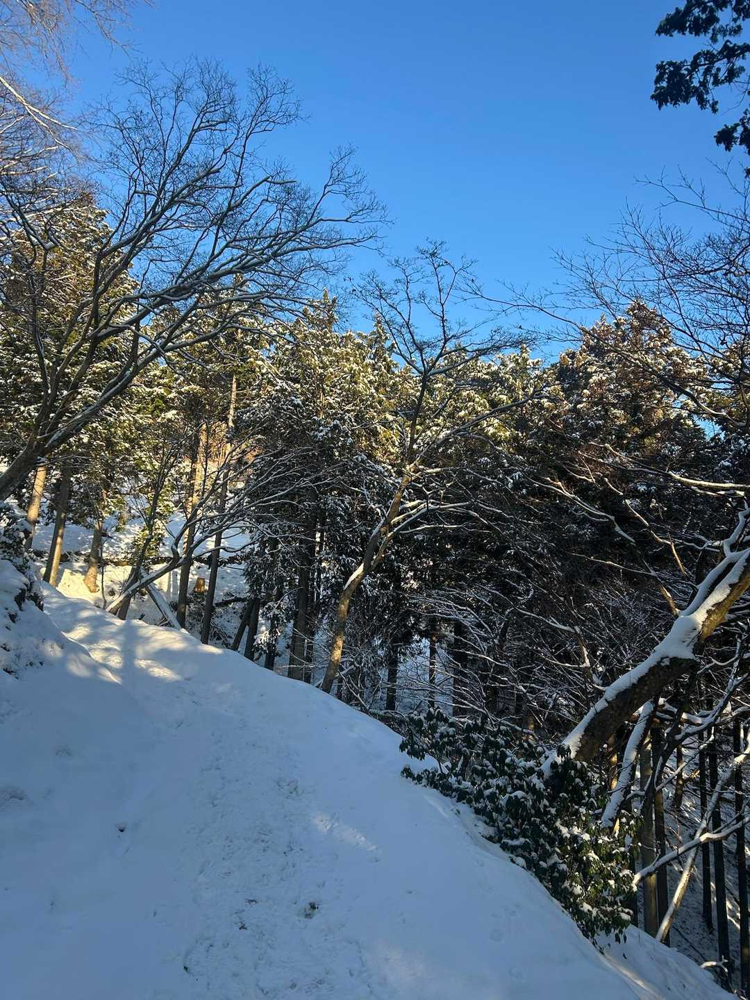 青空やん🤗