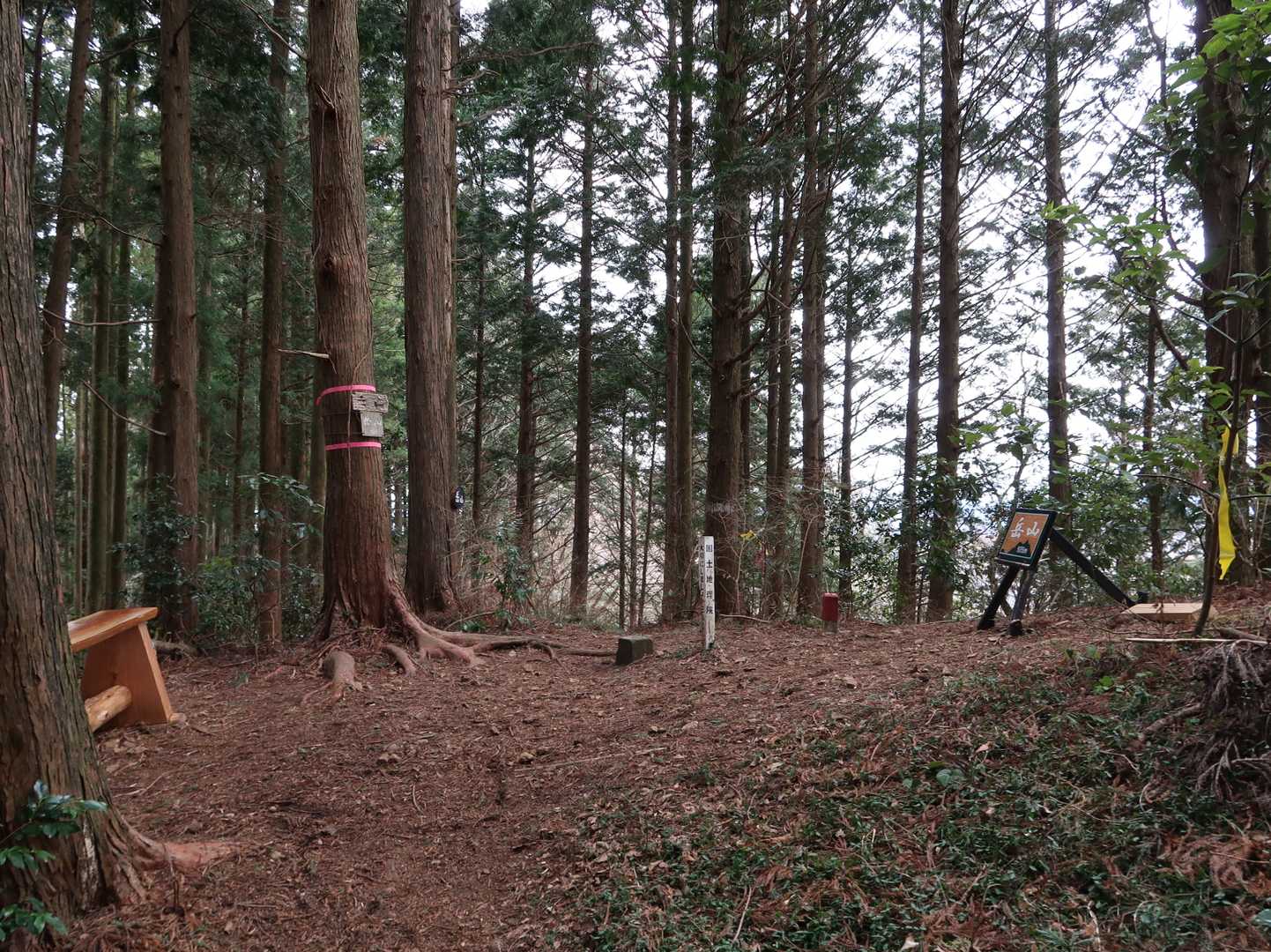 岳山