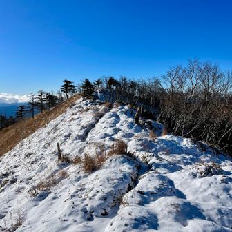 さらにモコモコと積雪は増えていった
雪がサラサラしているのでチェーンスパイクは不要と判断してツボ足で進むことにした

雪がなければ熊笹の間を進む、なんてことのない区間だが、この日は深い箇所で膝下の積雪☃️
先週までのレポでは雪なんて無かったのに...