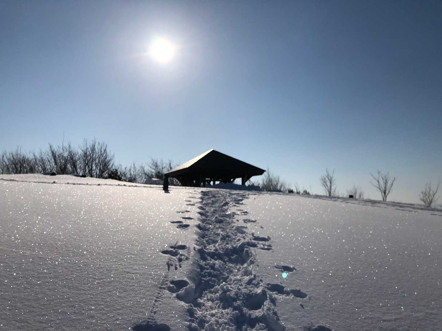 山頂間近です