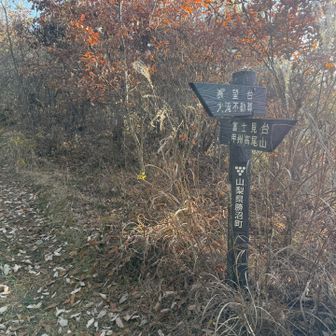 尾根出た！
富士見台へ寄り道します。