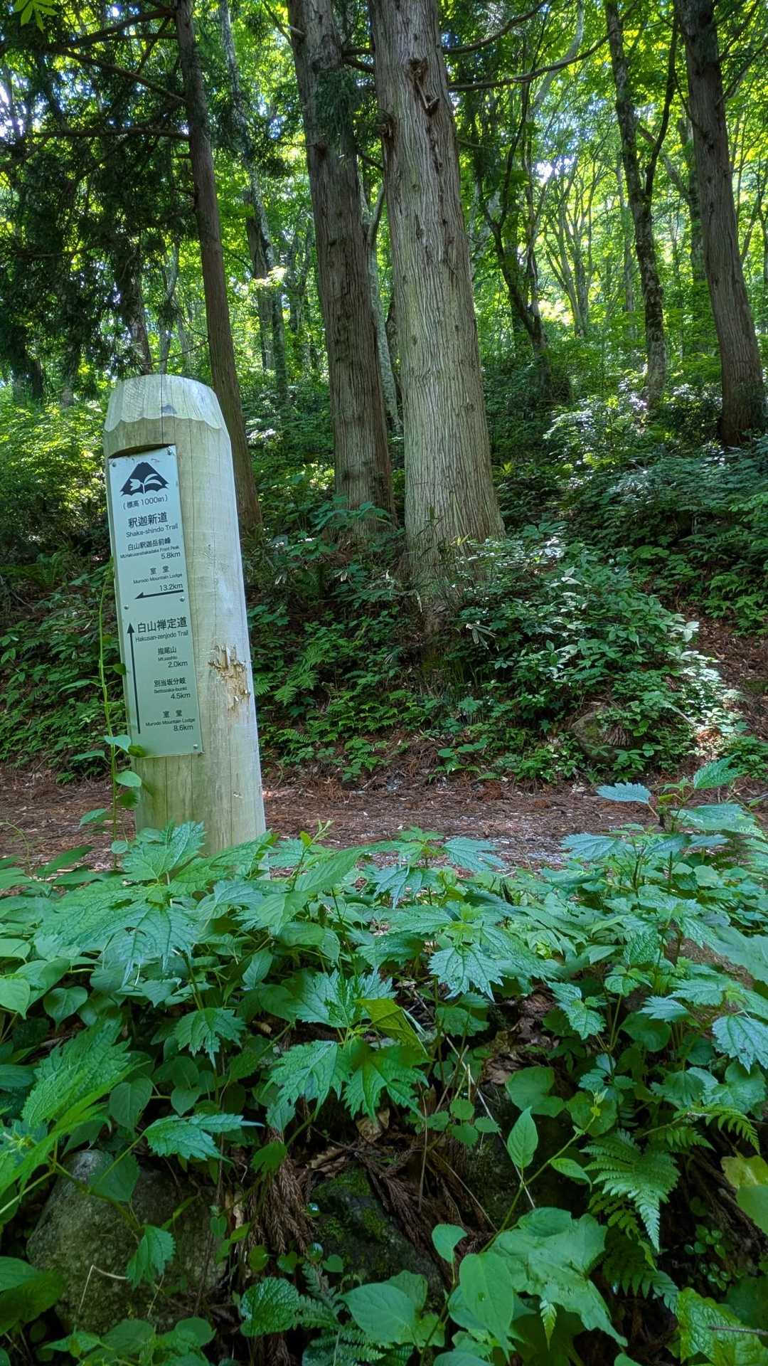 こっから六万山へ