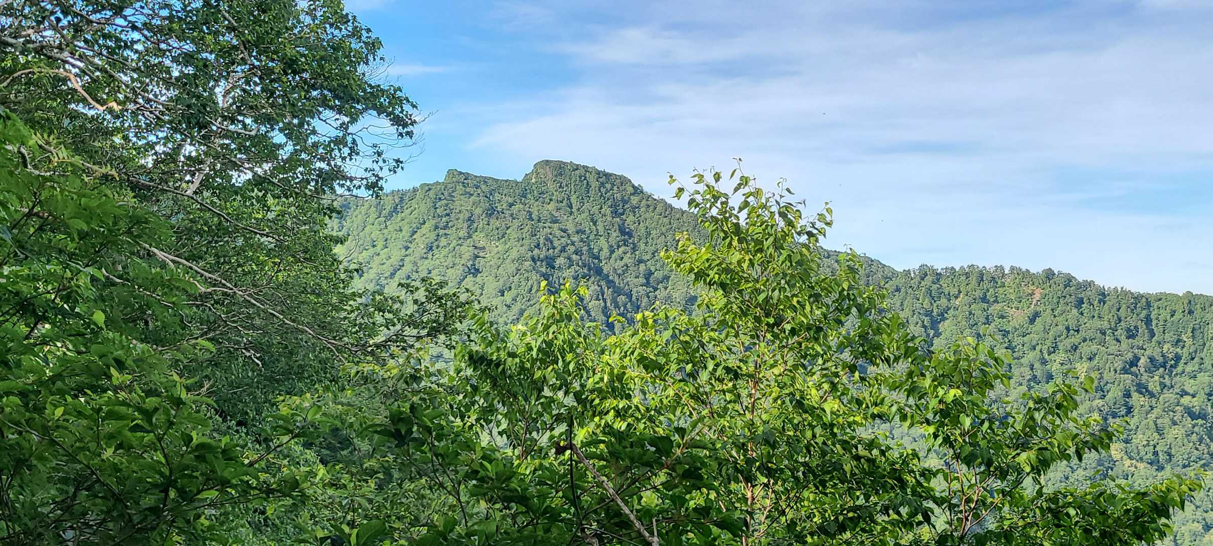 頂上ではありませんでした。