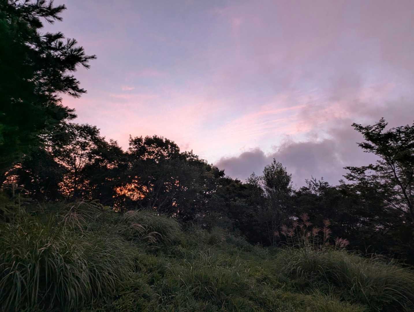 急階段を登って展望広場に到着。雲が厚くて朝日は期待できなそう。
ヒグラシが少し鳴き始めた。