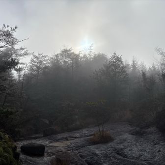 霧の中に太陽光が。神秘。
長谷川等伯翁の、松林図、が頭に浮かんだ。　
肉眼では、もっと遠近感があり、感動的な風景。