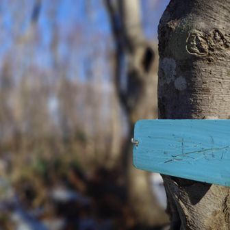 ここが山頂なの？