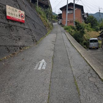 大股口、道の矢印に反応