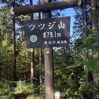 ツツジ山