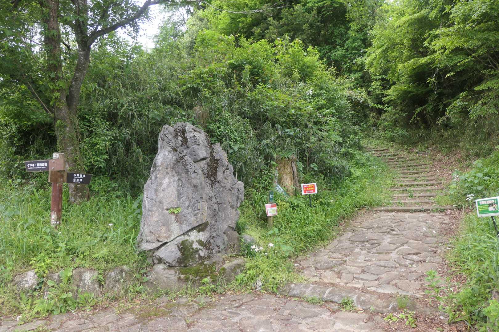 ここから遊歩道歩きになります。