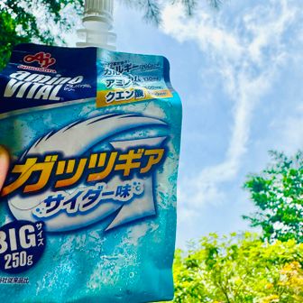 普段ゼリー系食べないけど、夏の登山の昼ごはんには凍らせたゼリー飲料が最適なことに最近気づく。