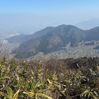 井上山、大洞山
