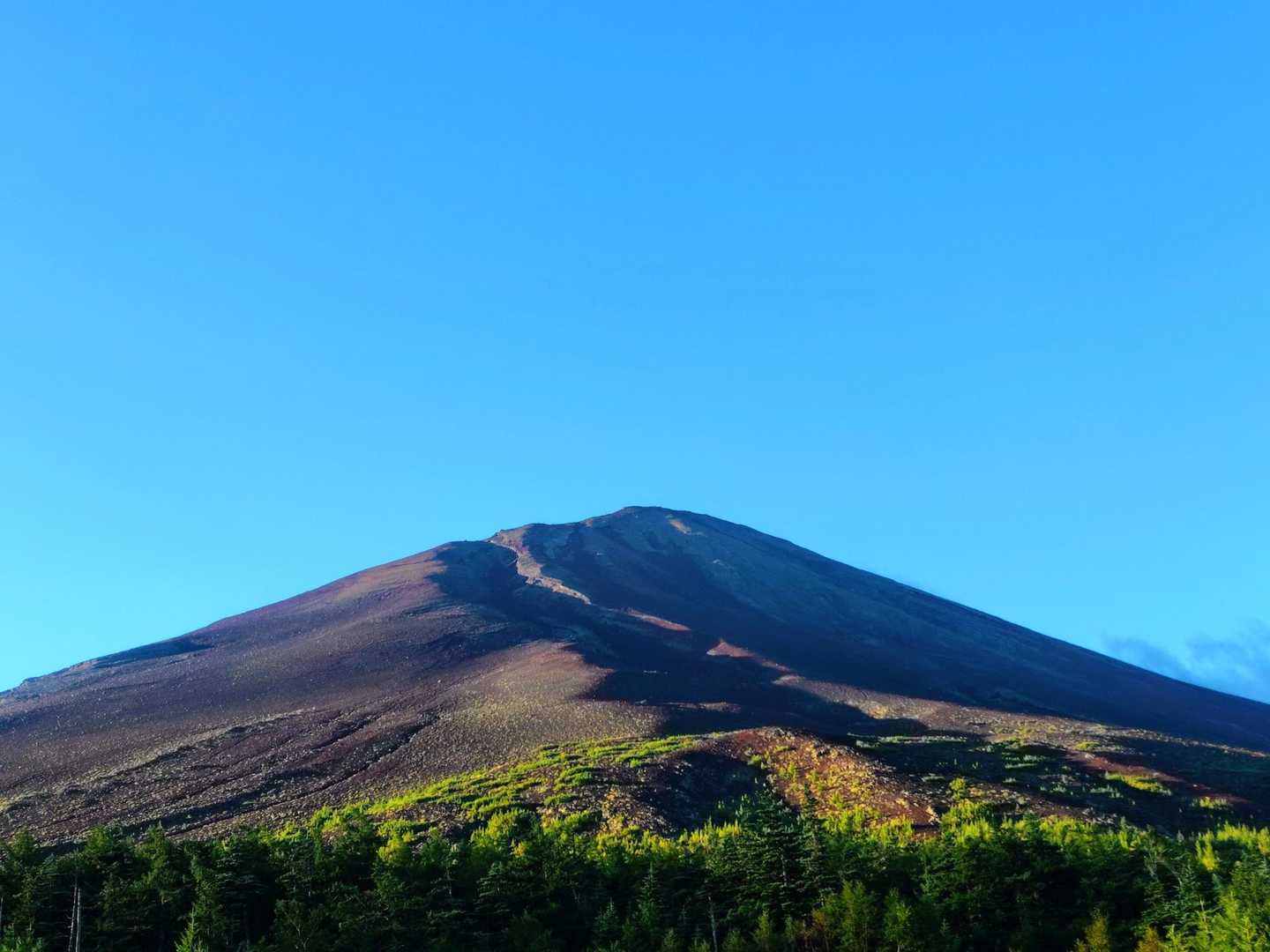 爆晴れになりました🤩