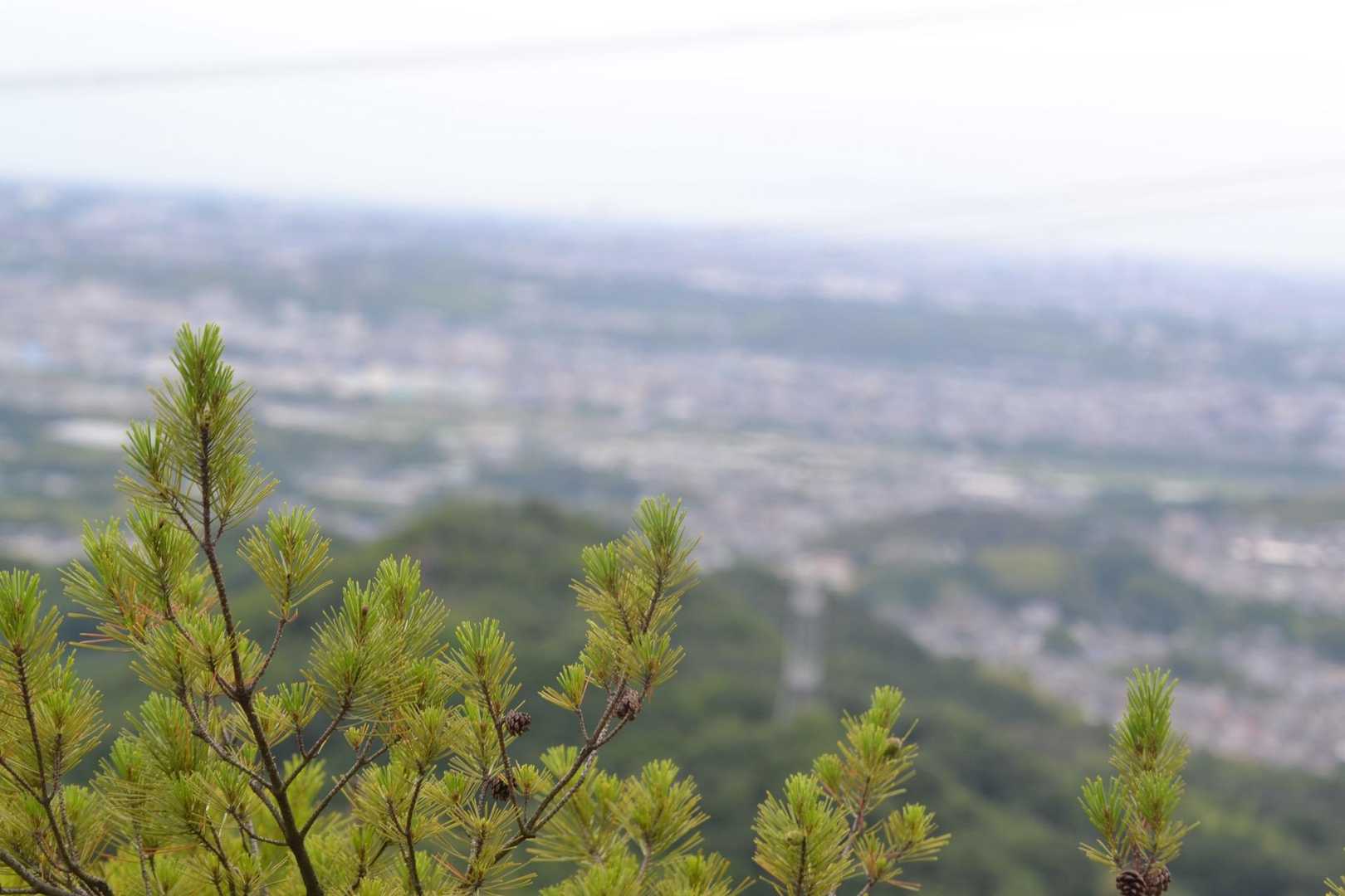 明日は雨予報。
曇ってきたなぁ。