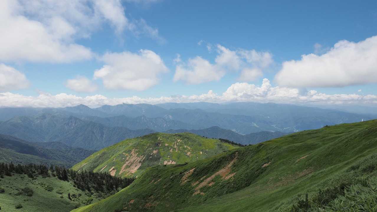 巻機山、夏空の夫婦登山 の写真 17