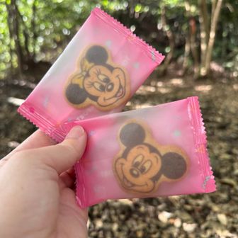 先週はディズニーへ🐭
お土産のクッキーでちょっと補給