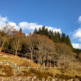 駐車場   着
まずは🚾  
Song  by   ユ－ミン
(優しさに包まれたなら)