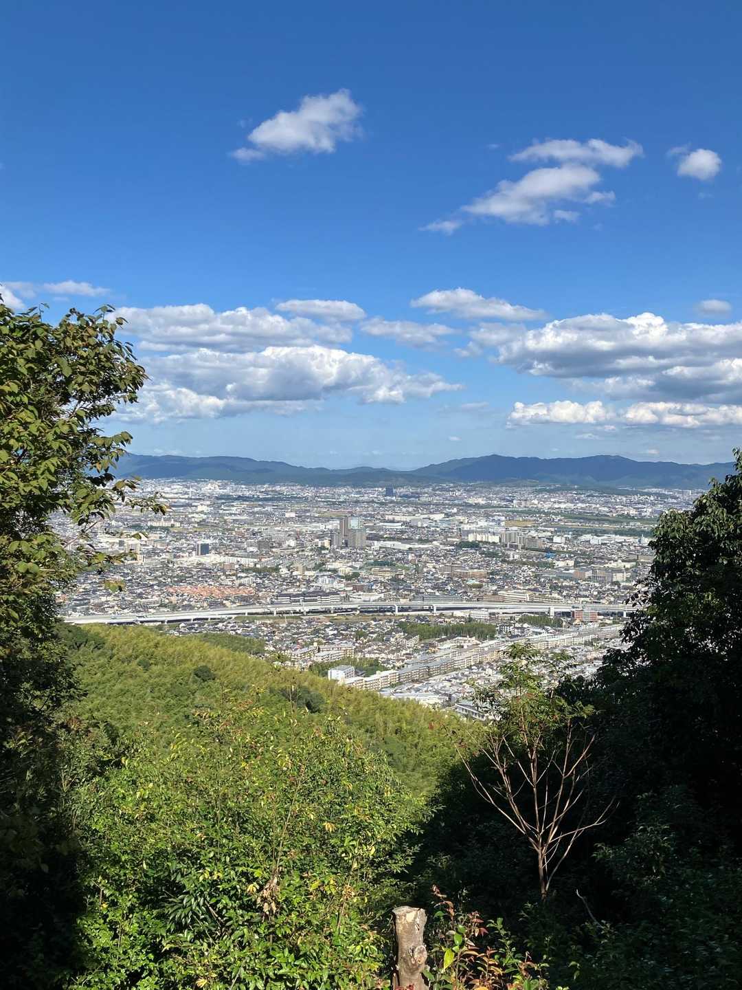 下山ルートを全く考えてなく、にし天王山駅を目指す事に決めて，向かう途中にこんな場所が📷