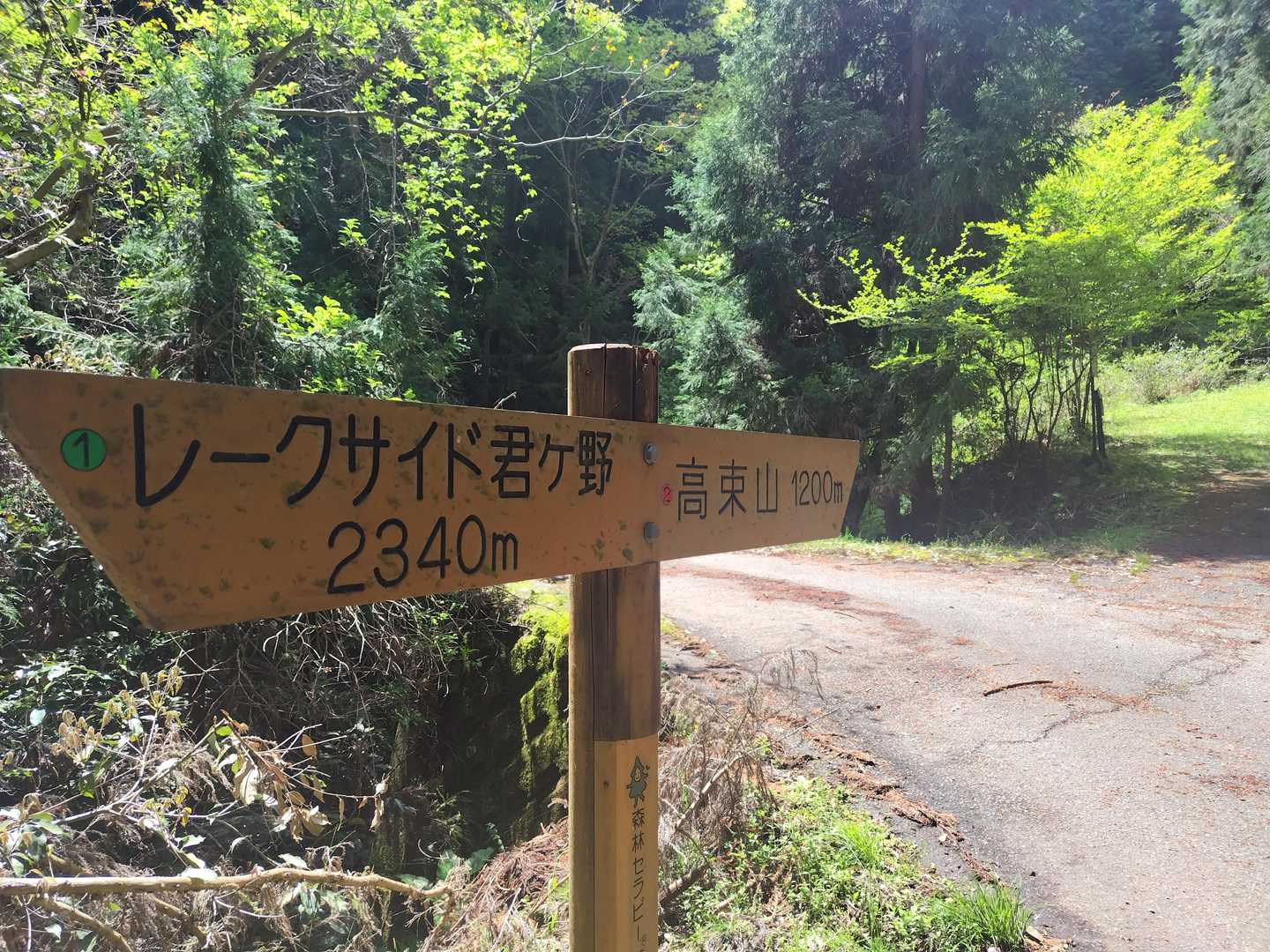 ここからスタートです😊
烏岳から美杉へ向かう国道がクネクネのすれ違い出来ない狭い道で、しかも交通量がそれなりにあって、何台も対向車来るし大変だった😭
今回のスタート地点に向かう林道も所々道は狭かったけど、舗装路で距離が短いのでまぁセーフでした💦
登山より運転の方が疲れました😱💦