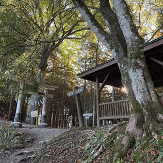 霧藻ヶ峰方面との分岐。ここから妙法ヶ岳山頂まではピストンです