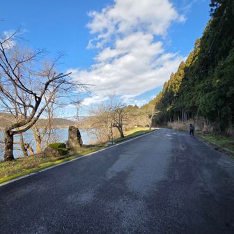 余呉湖湖畔を歩きます！