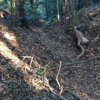 尾根を断ち切る堀切跡