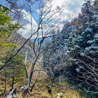 滑らないように下る🚶‍♀️‍➡️