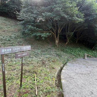 ここを降りて行きます。
きのくに古道
最初からメマトイに襲われる😵