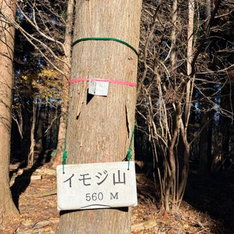 道なき道を進んでイモジ山⛰️