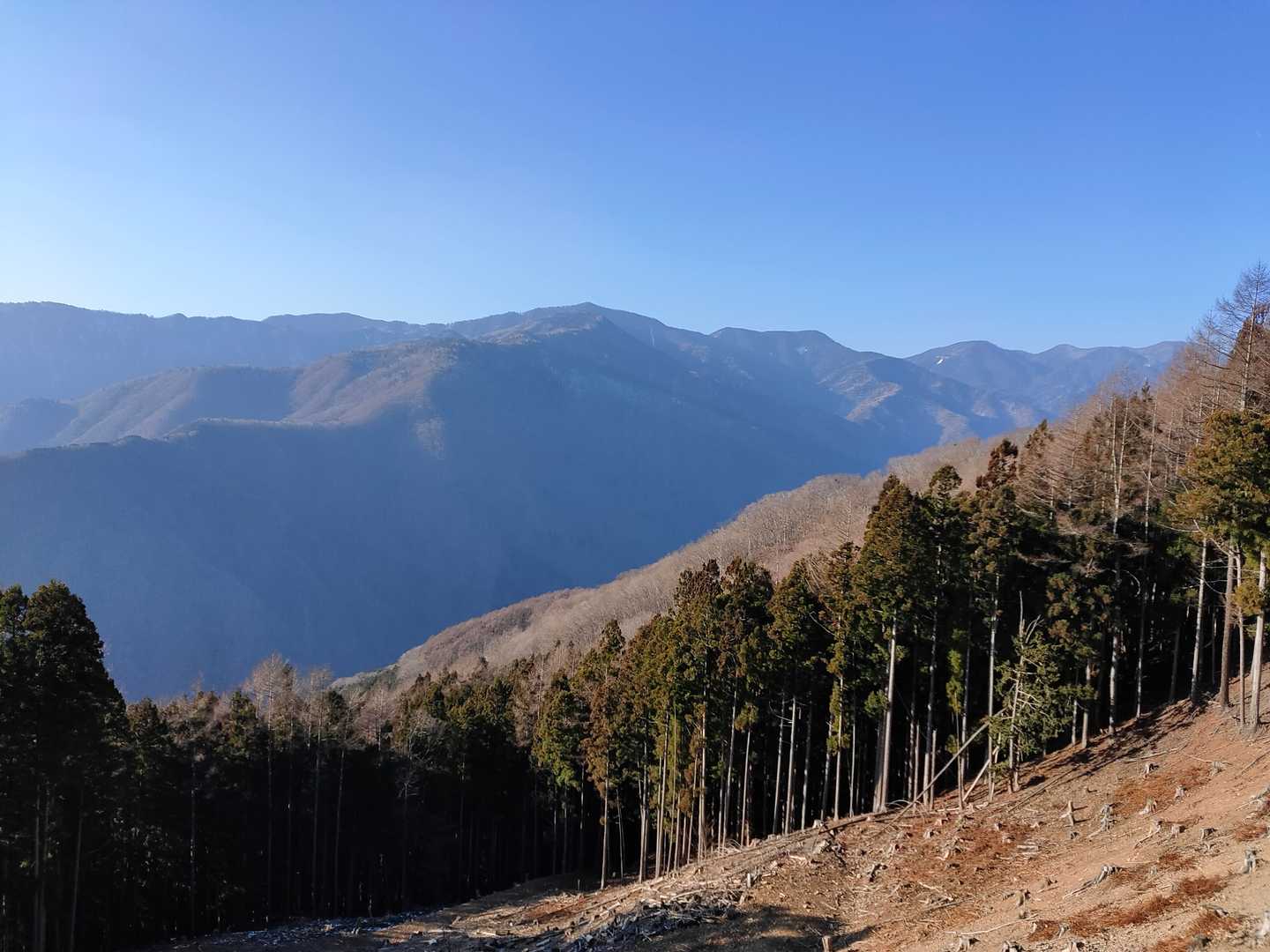 手前は雁坂嶺へと伸びる尾根、奥は山梨県境の尾根？甲武信ヶ岳とか三宝山とかそんな感じ？山梨と長野が目の前だ