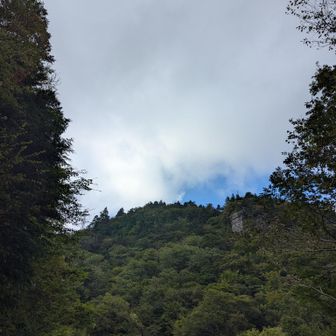 あの送電線が景観スポットねぇ、意外と勾配ある