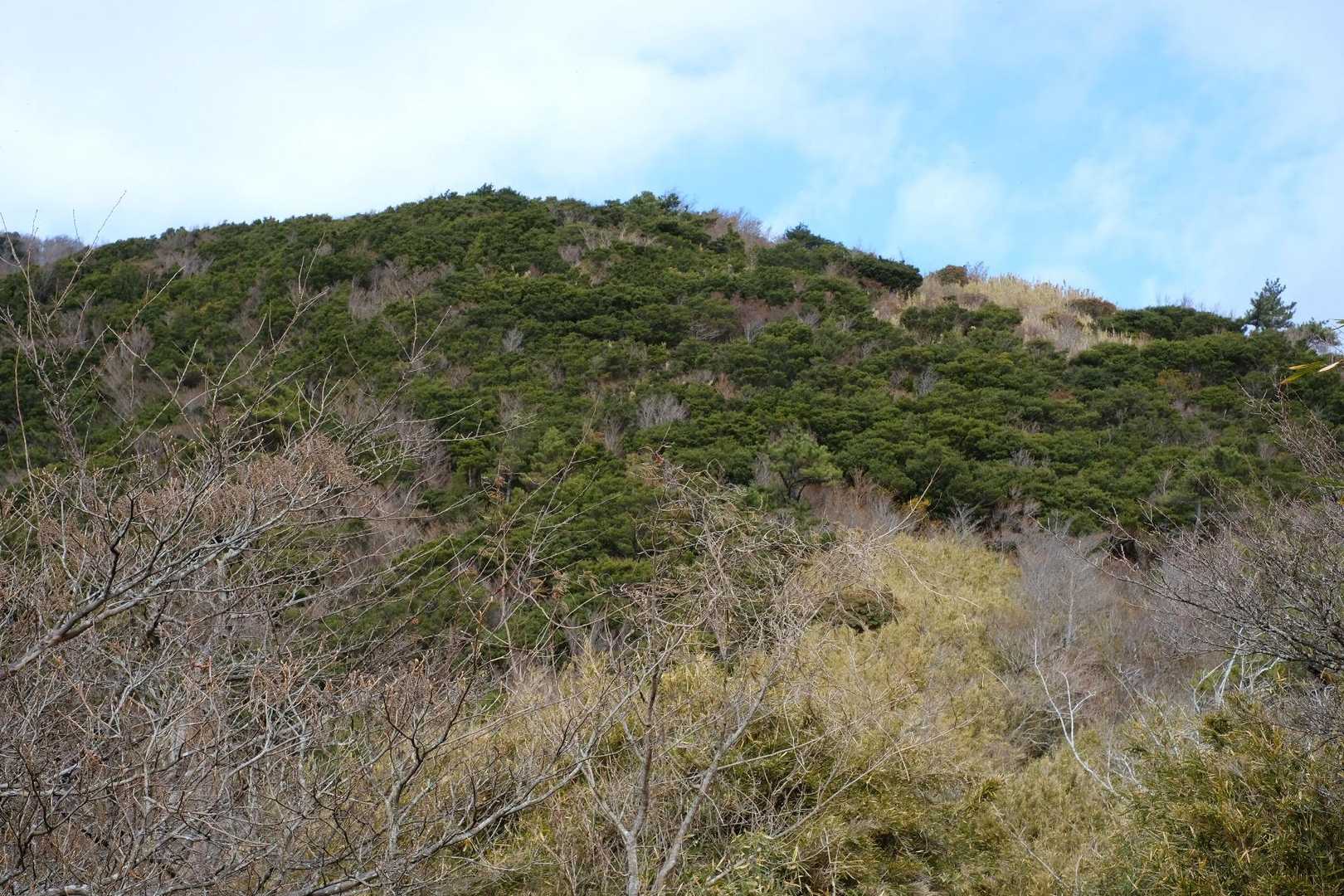 鞍部から明神ヶ岳を振り返る