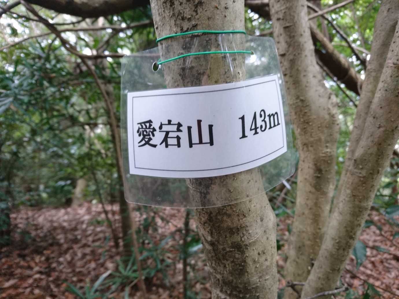 予定を大幅にオーバーしてようやく山頂。
