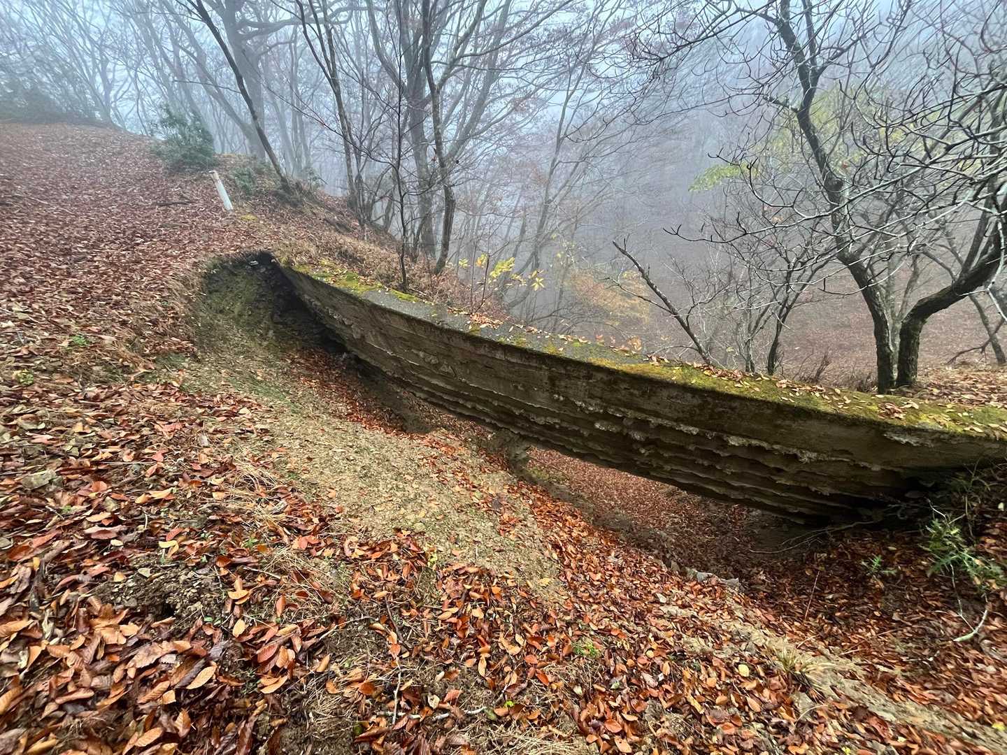 椎矢峠近くの崩壊道。行くの怖いから上から行きました