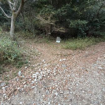 ようやく住吉道との分岐点に降りてきた