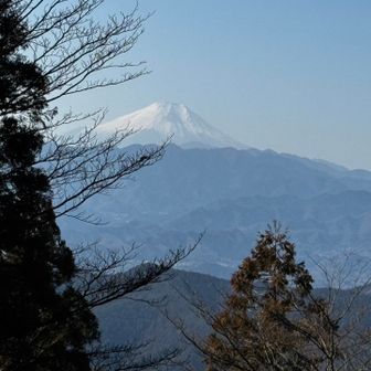 景信山からの富士山🗻