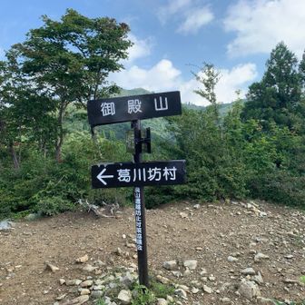 最初のチェックポイント　御殿山
ここまでけっこー急登の連続だね
暑いし
ヨーキさん、もっと優しい山選んでよ（笑）
暑くなければ、もう少し楽に来れたね

行きにすれ違ったお姉さん
軽快に駆け下りてった
めちゃすげー

看板の後ろに武奈ヶ岳山頂
遠くに見えても、意外と近くだよ

ここから一旦下っての登り返し

