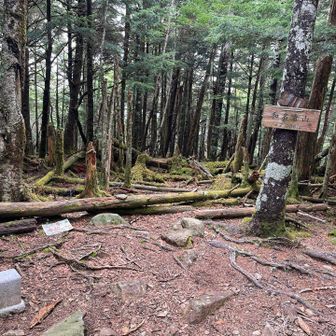 和名倉山山頂②