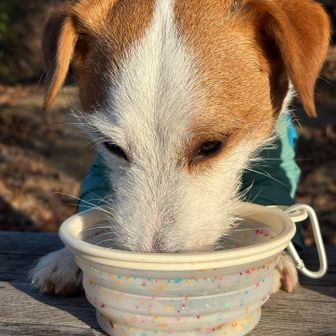 食いつきが違いますね😋
