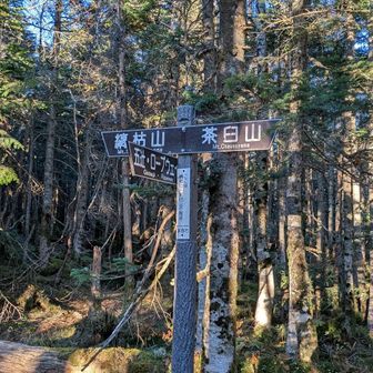茶臼山を下りて、次は縞枯山。最後の頑張りだ！