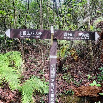 分岐　ここから天狗岩に向かいます